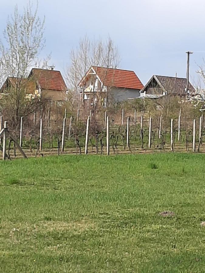 Grapeline Guesthouse Chotin Dış mekan fotoğraf
