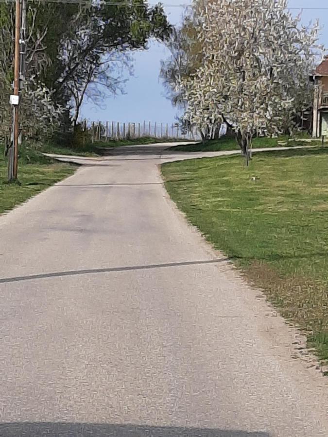 Grapeline Guesthouse Chotin Dış mekan fotoğraf