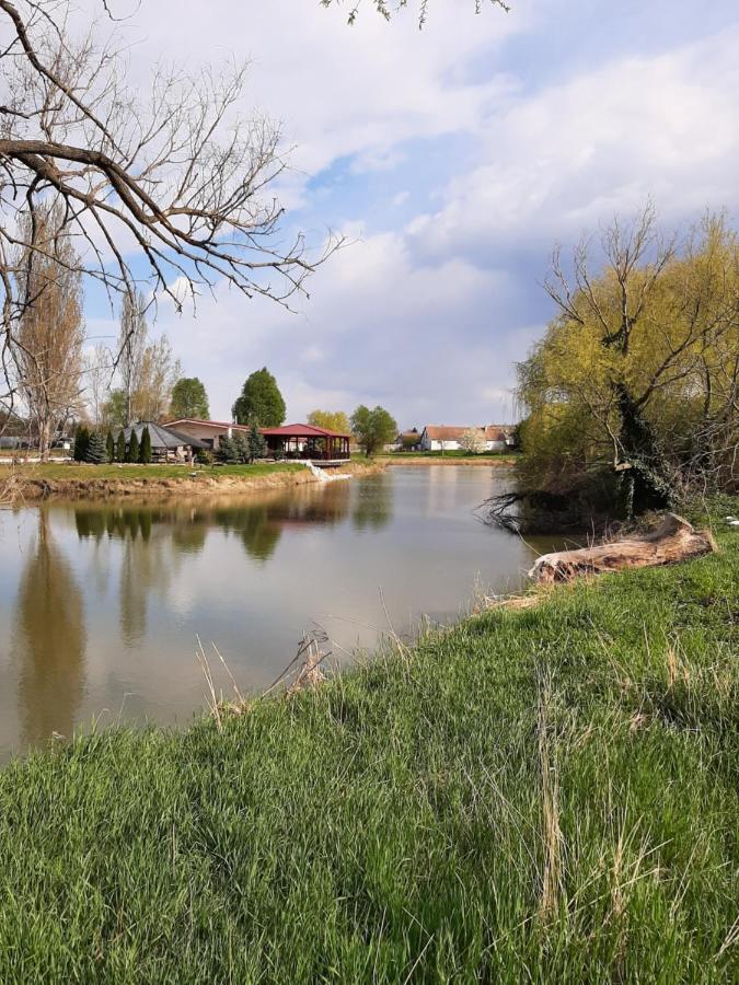 Grapeline Guesthouse Chotin Dış mekan fotoğraf
