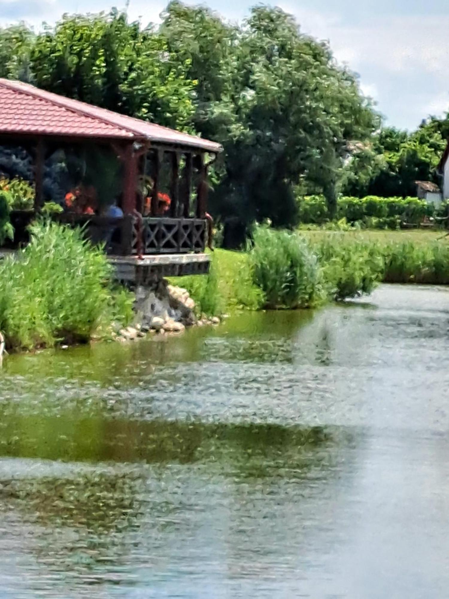 Grapeline Guesthouse Chotin Dış mekan fotoğraf